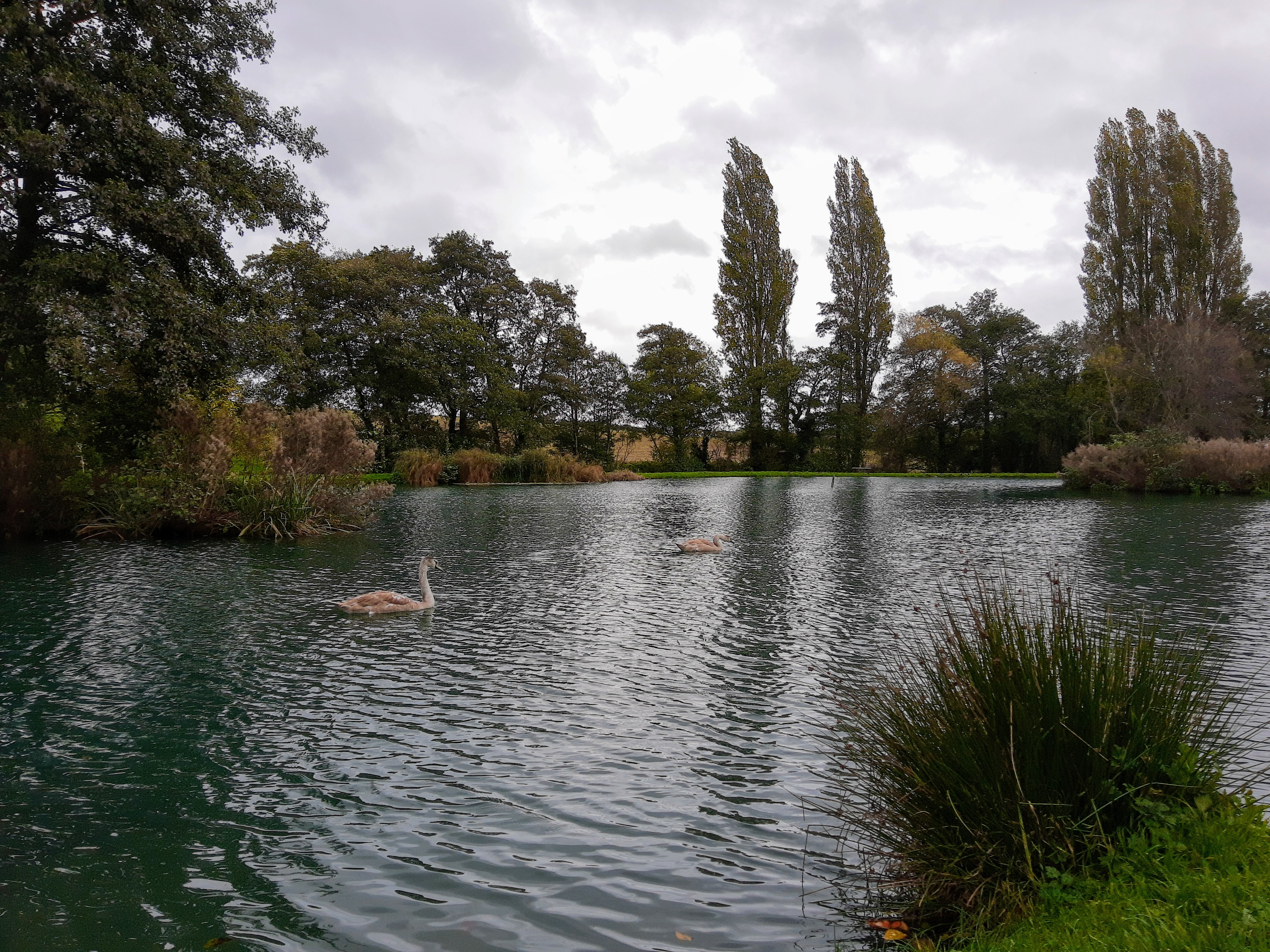 Court Farm Lakes, Lydney