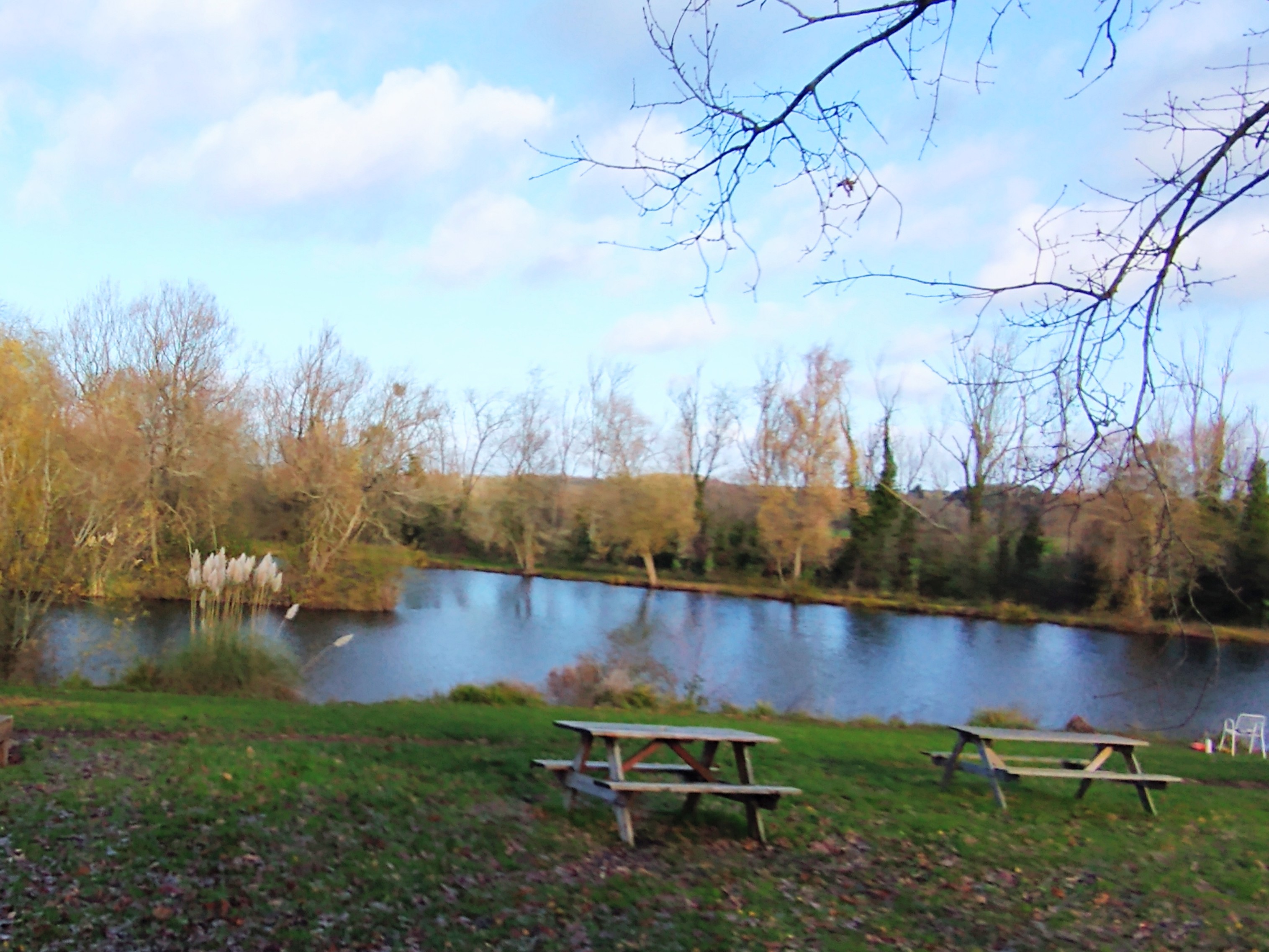 Escape to the Lake, Leigh, Worcester